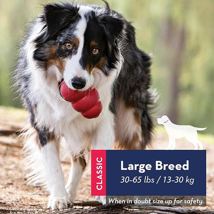 KONG Classic Toy & Enhanced Ziggies Treats Combo Pack - Durable Chew Toy for Dogs - with Enhanced Ziggies Treats - Dog Accessories for Fun & Health - for Large Dogs