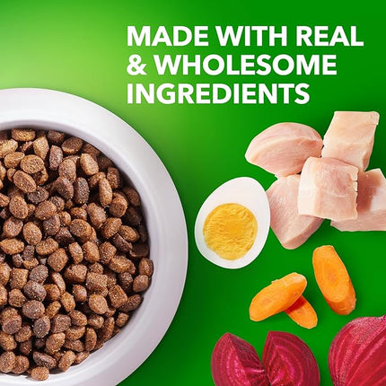 IAMS Proactive Health Puppy Food with Real Chicken, 7 lb. Bag