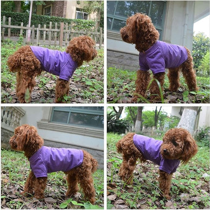 Lovelonglong 2019 Pet Clothing Dog Costumes Basic Blank T-Shirt Tee Shirts for Medium Small Dogs Purple XL