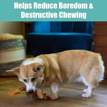 SPOT Skinneeez Chicken 13 Inch Stuffing-Free Plush Squeaky Dog Toy – Soft Interactive Chew Toy for Small and Medium Dogs – Mess-Free Play for Light & Moderate Chewers