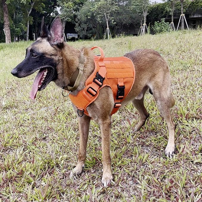 ICEFANG Tactical Dog Harness, X-Large Size,2X Metal Buckle,Working Dog MOLLE Vest with Handle,No Pulling Front Leash Clip,Hook and Loop Panel (Orange,XL (Pack of 1))