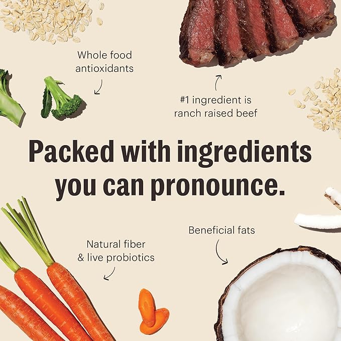 The Honest Kitchen Whole Food Clusters Whole Grain Beef & Oat Dry Dog Food, 1 lb Bag