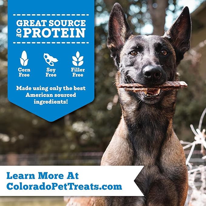 Fresh Field Salmon & Sweet Potato Jerky Chips, 5 oz – All-Natural Dog Treats, USA Made, No Fillers, Omega-3 Rich