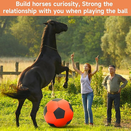 QDAN Herding Ball for Dogs, 25 inch Dog Balls, Giant Dog Toys Horse Toy, Herding Ball for Australian Shepherd, Orange