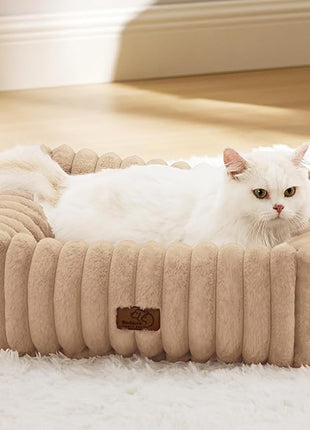 Bedsure Cute Dog Bed for Small Dogs & Cats - Washable Furry Puppy Beds, Rectangle Orthopedic Corduroy Fleece Pet Beds with Removable Zipper Cover, 20x19x6inches, Sandy Beige