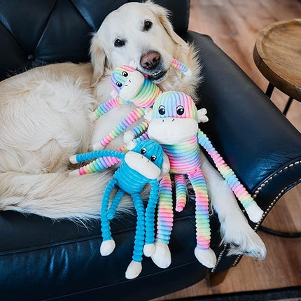 ZippyPaws Crinkle Monkey - Interactive Dog Toys to Keep Them Busy, Squeaky Plush Pet Toy for All Breeds, for Small and Medium Dogs, Contains Round Squeakers - Rainbow & Blue 2-Pack, Small