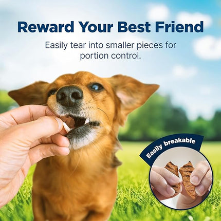 Blue Buffalo Nudges Grillers Natural Dog Treats, Made in The USA with Real Salmon, 16-oz. Bag