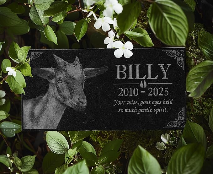 Your Image Pet Memorial Stone: Custom Pet Granite Marker | Dog and Cat Grave Stone | Tribute for Rabbit | Water Proof Outdoor Tombstone Gravestone | RIP Urn Memorial | Pet Bereavement