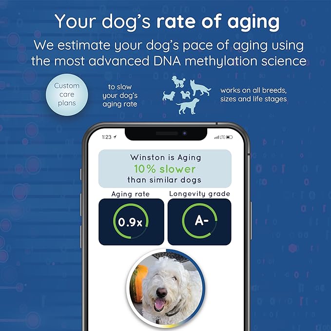 WoofSpan Dog Biological Age Test - DNA Methylation Science to Assess Healthspan, Aging Rate, and Risk for Common Conditions - Personalized Health Report & Preventative Care Tool for Dogs
