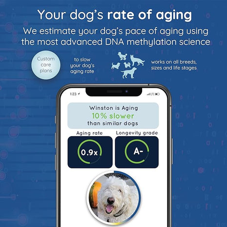 WoofSpan Dog Biological Age Test - DNA Methylation Science to Assess Healthspan, Aging Rate, and Risk for Common Conditions - Personalized Health Report & Preventative Care Tool for Dogs