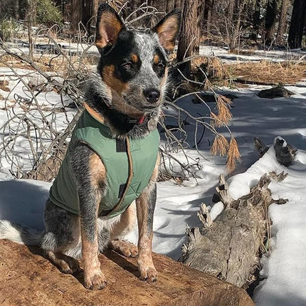 Gooby Sport Vest - Green, X-Small, Reflective Dog Vest with D Ring Leash, Warm Fleece Lined Small Dog Sweater
