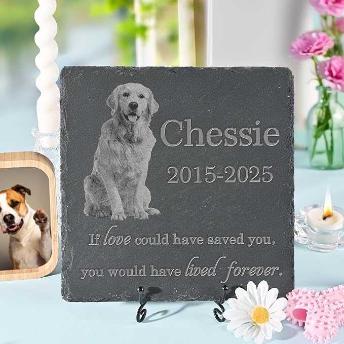 Pet Memorial Stone with Photo, Dog Memorial Gifts for Loss of Dog, Personalized Pet Memorial Gifts, Pet Loss Gift - Lived Forever（Square）