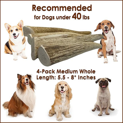 Elk Antler Dog Chews | Long-Lasting A-Grade Premium Elk Antler Chews for Dogs from Naturally Shed Elk Antlers Collected in The USA, Whole, Medium (Pack of 4)