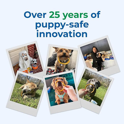 N-Bone Puppy Teething Ring Pumpkin Flavor, 3.6 Oz, 3 Rings