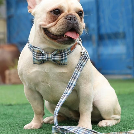 Lionet Paws Dog and Cat Collar with Bowtie Grid Collar Plastic Buckle Light Adjustable Collars for Small Medium Large Dogs