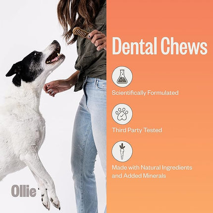 Ollie Dental Chews for Medium Dogs, 12 Oz, Fresh Breath, Teeth Cleaning Treats, Sticks for Dog Oral Care, with Parsley and Cinnimon, for Pups 26-50 lbs