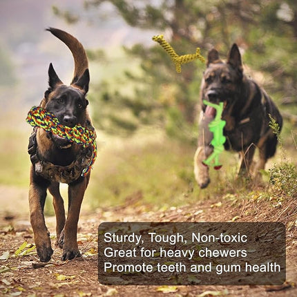 Jalousie 14 Pack Puppy Chew Dog Rope Toy Assortment for Small Medium Large Breeds