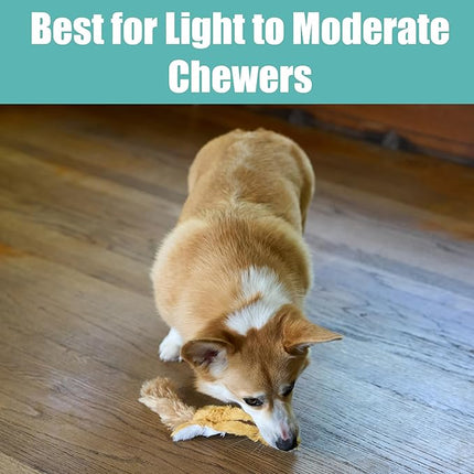 SPOT Skinneeez Flying Squirrel 14 Inch Stuffing-Free Plush Squeaky Dog Toy – Soft Tug-of-War Toy for Small and Medium Dogs – Mess-Free Interactive Chew Toy for Moderate Chewers