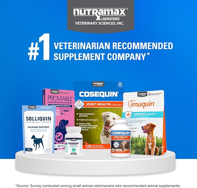 Nutramax Cosequin for Senior Dogs Joint Health Supplement, Contains Glucosamine, Chondroitin, MSM, Omega-3s and Beta-Glucan, Supports Joint, Skin and Coat, Immune Health, Soft Chews, 120 Count
