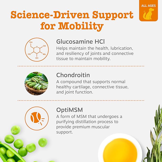 Zesty Paws Hip and Joint for Dogs, Glucosamine for Dogs Hip and Joint Supplement with Chondroitin, MSM, Vitamins C & E - Duck, 250 Count