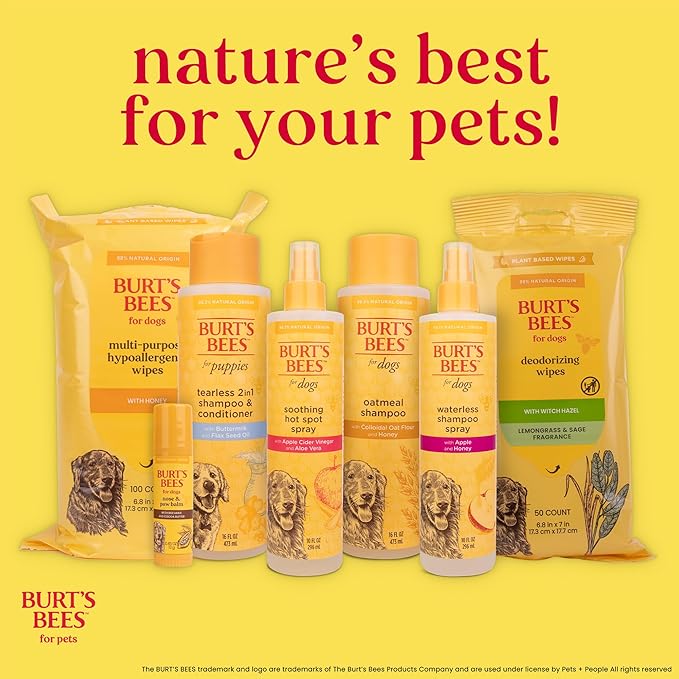 Burt's Bees for Pets Deodorizing Dog Shampoo with Witch Hazel, 95% Natural Origin Formulas, Dog Deodorizing Shampoo - Gentle for Smelly Dogs, 32 oz