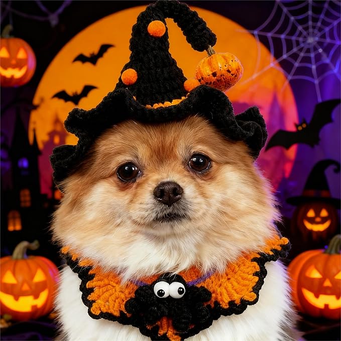 Hand-Knit Halloween Pet Costume-Spider & Black Witch Hat for Cats and Small Sized Dogs,Festive Halloween-Themed Cat Apparel,Comfortable and Breathable Dog Halloween Outfits,Cat Witch Costume