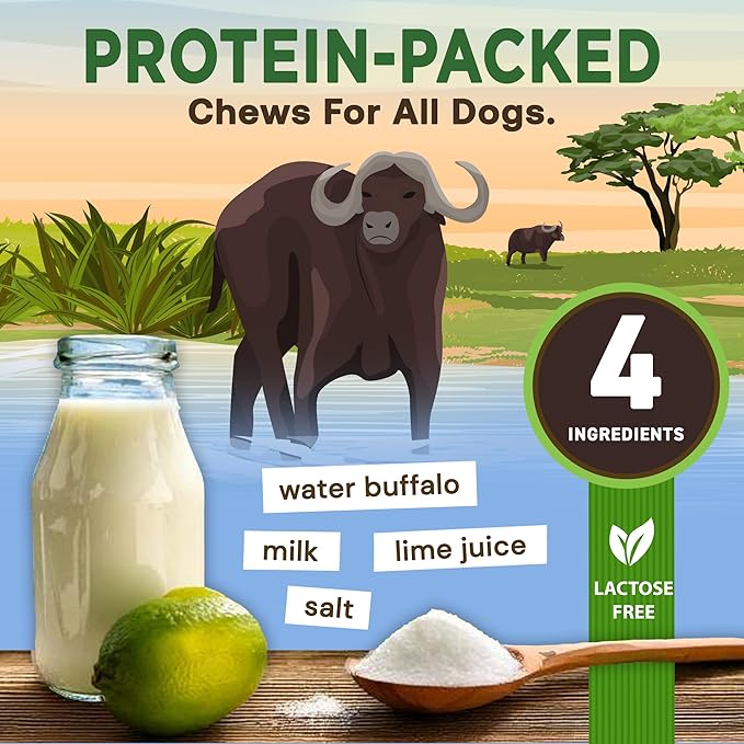 EcoKind Premium Gold Yak Cheese Himalayan Dog Chews, Healthy Dog Treats for Large Dogs, All Natural, High Protein Dog Chew, Water Buffalo, Large - 5 Chews