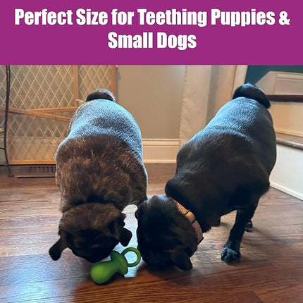 SPOT Puppy Pacifier Latex Dog Toy – Cute Binky-Shaped Chew Toy for Teething Puppies & Small Dogs, Best for Light Chewers, Durable & Non-Toxic with Squeaker, 4.5” – Assorted Colors