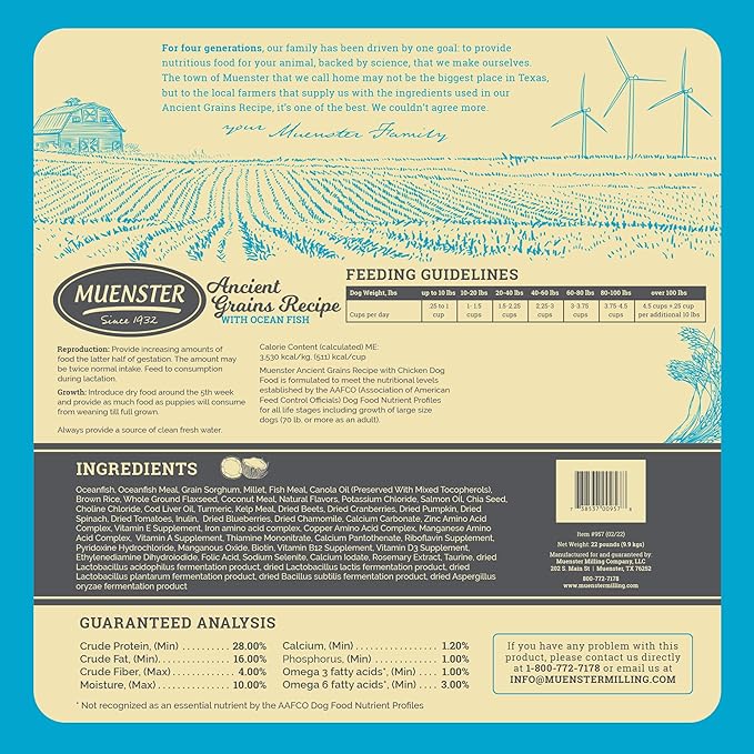 Muenster Ancient Grains Ocean Fish Dry Dog Food, 22lb - Gluten-Free, High Protein, Digestive Support