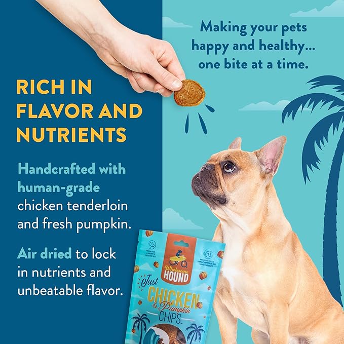 Chicken & Pumpkin Chips – Single Ingredient Dog Treats, All Natural & Healthy Training Snacks for Small, Medium & Large Breeds, Puppies – High Protein, Made in USA 3oz