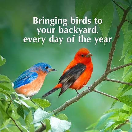 C&S Fruit n’ Nut Suet Treat, Suet Cakes for Wild Birds Including Robins, Blue Jays, Bluebirds, Tanagers, Thrushes and More, 8 Pack