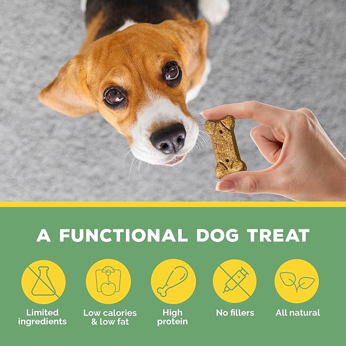 Brutus Bone Broth Biscuits (Chicken) - Healthy Dog Treats - Natural Biscuits with Dog Bone Broth and Real Chicken Meat - 18 Grams of Protein - 8 OZ (Pack of 2)