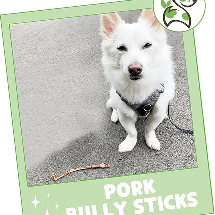 Nature Gnaws Extra Thin Pork Bully Sticks for Small Dogs 5-6" (50 Count) - Long Lasting for Light Chewers and Puppies - Natural Bacon Dog Chew Treats