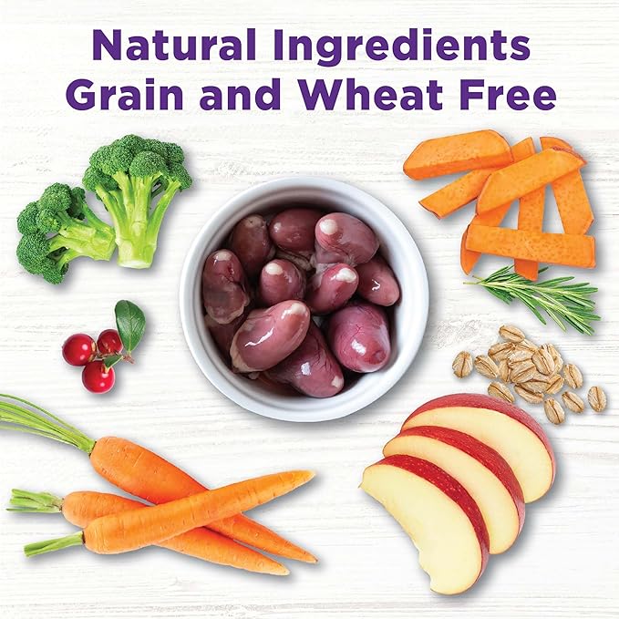 Wellness CORE Bowl Boosters Skin & Coat Dog Food Topper, 4 Ounce Bag (Pack of 2)