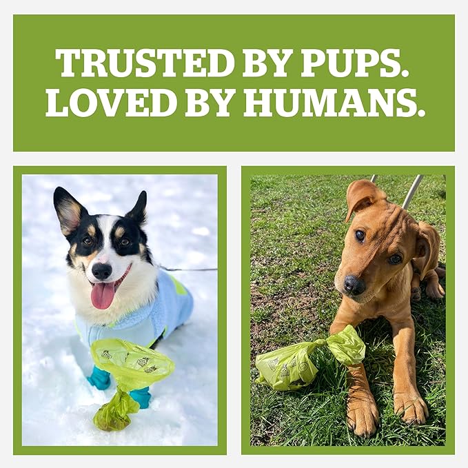 Pogi's Poop Bags – Large, Leak-Proof Dog Waste Bags for Yard or Home Use, Unscented (Single Roll, 500-Count)