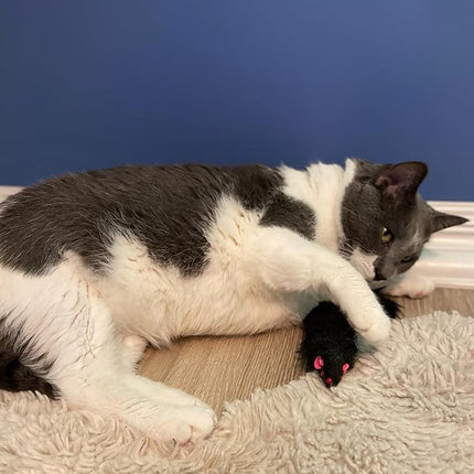 SPOT Shaggy Plush Ferret - Interactive Rattle and Catnip Fuzzy Toy for Indoor Cats and Kittens, Large Size Perfect for Pouncing, Chasing, Hunting, 11 Inches (Pack of 2)