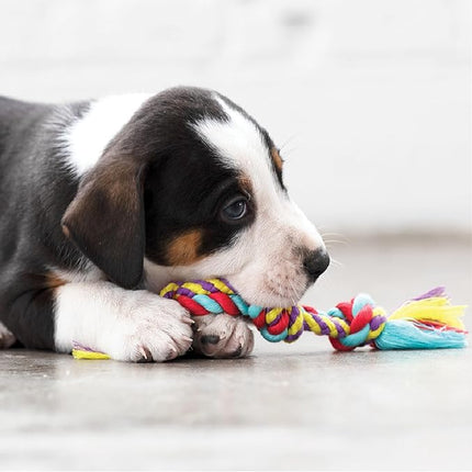 Petstages Orka Mini Dental Dog Chew Toys - 3 Pack