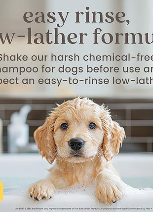 Burt's Bees for Pets Tearless Puppy Shampoo with Buttermilk, 95% Natural Origin Formulas, Shampoo for Puppies - Gentle Dog and Puppy Shampoo Tear Free, Best Puppy Shampoo Tearless, 32 oz