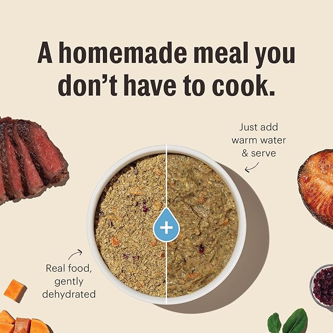 The Honest Kitchen Wholemade™ Whole Grain Chicken Dog Food, 10 lb Box