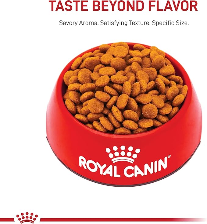 Royal Canin Size Health Nutrition Medium Adult Dry Dog Food, 17 lb Bag