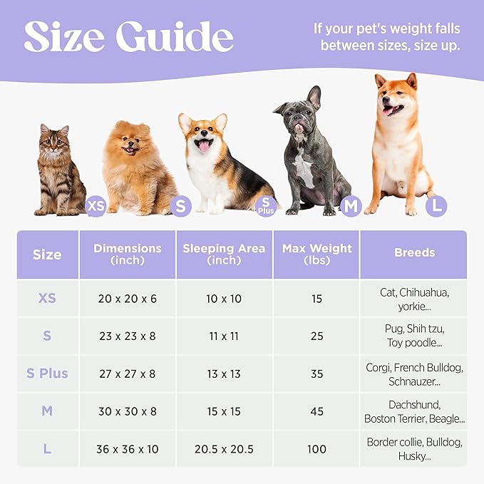 LE SURE Donut Small Dog Bed - Round Cat Beds for Indoor Cats Anti-Anxiety Calming Pet Beds, Washable Cute Modern Beds with Teddy Sherpa Plush & Anti Slip Bottom, 23 Inch, Galaxy Grey