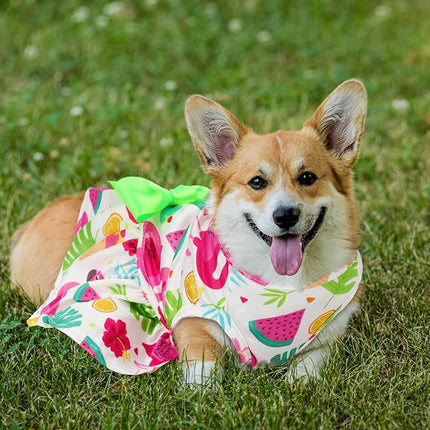 LEIFIDE 8 Pcs Summer Themed Hawaii Dog Dresses Holiday Flamingo Fruit Floral Pattern Pet Skirts Hawaii Puppy Princess Dresses Outfits Bowknot for Girl Dogs Cats Beach(XL)