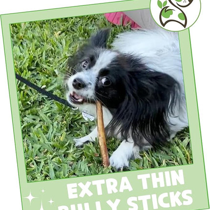 Nature Gnaws Extra Thin Bully Sticks for Small Dogs 5-6" (10 Count) - Long Lasting for Light Chewers and Puppies - Natural Beef Dog Chew Bones