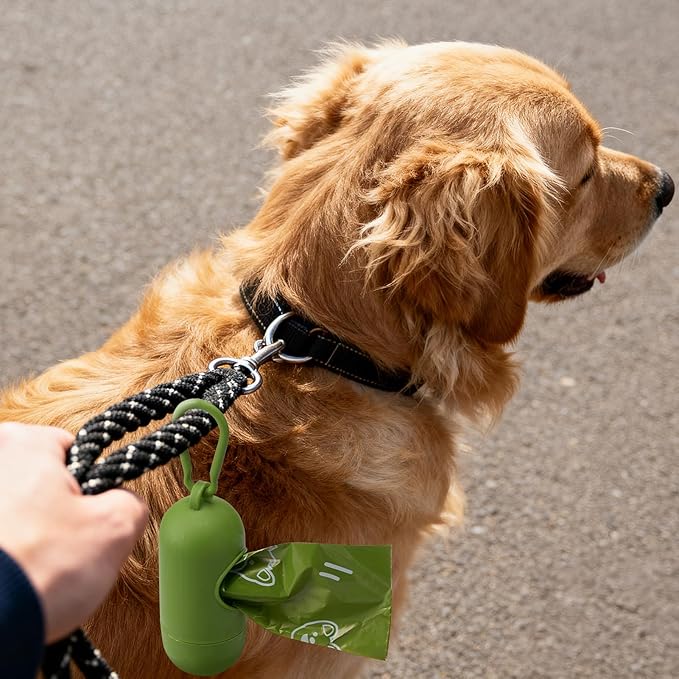 Dyforce Scented Dog Poop Bags,Leak Proof Pet Waste Bags for Dog Walking,Extra Thick and Large Cat Litter Bags for Poop,30 Refill Rolls,600 Bags,9x13",Green