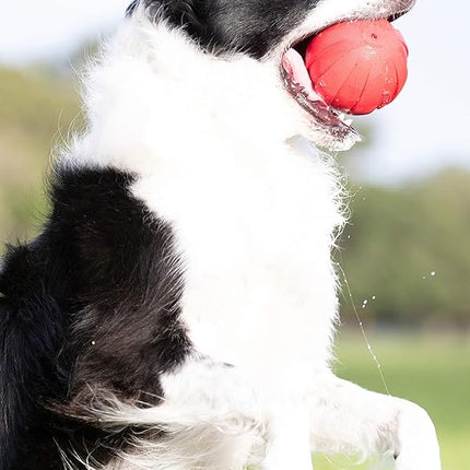 Nerf Dog Rubber Ball Dog Toy with Interactive Squeaker, Lightweight, Durable and Water Resistant, 4 Inch Diameter for Medium/Large Breeds, Single Unit, Red