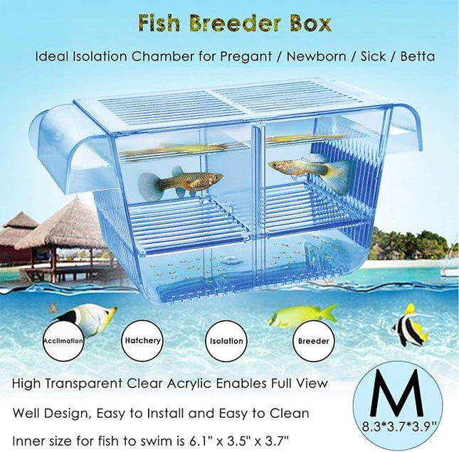 Cepetsma Fish Breeder Box - Hang-on Nursery Fish Tank With Breeding Hatchery, Perf for Aggressive & Injured Species