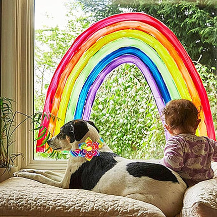 Lionheart glory Rainbow Dog Collar with Flower Colorful Summer Dog Flower Collar Heavy Duty Adjustable Pride Collars for Medium Dogs Pet Gift Holiday