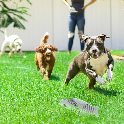 Dog Chew Toys for Aggressive Chewers, Indestructible Tough Durable Squeaky Interactive Dog Toys Teeth Cleaning Dog Chew Toy for Small Meduium Large Breed