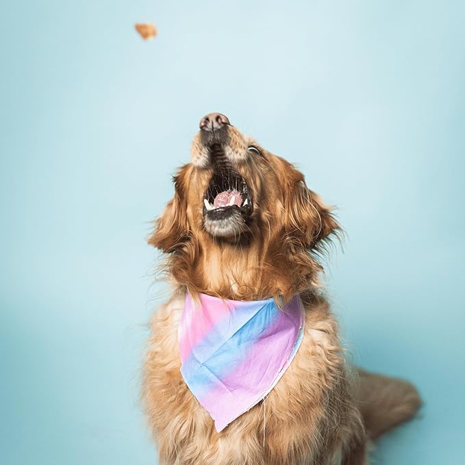 Leash & Load Dog Treats Beef Jerky Snack Bars, 5 oz Bag, Puppy and Training Treats, Natural Superfood Grain Free Made with Real Beef, Superfoods, Corn, Poultry & Soy Free