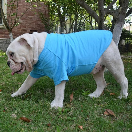 Lovelonglong Bulldog Clothes Dog Clothing Blank T-Shirt Tee Shirts for French Bulldog English Bulldog American Pit Bull Pugs 100% Cotton Skin Care Lake-Blue B-XL